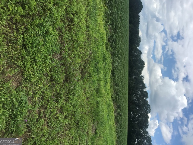 0 Highway 301 Claxton, GA 30417 - Photo 10 of 16 a view of a garden