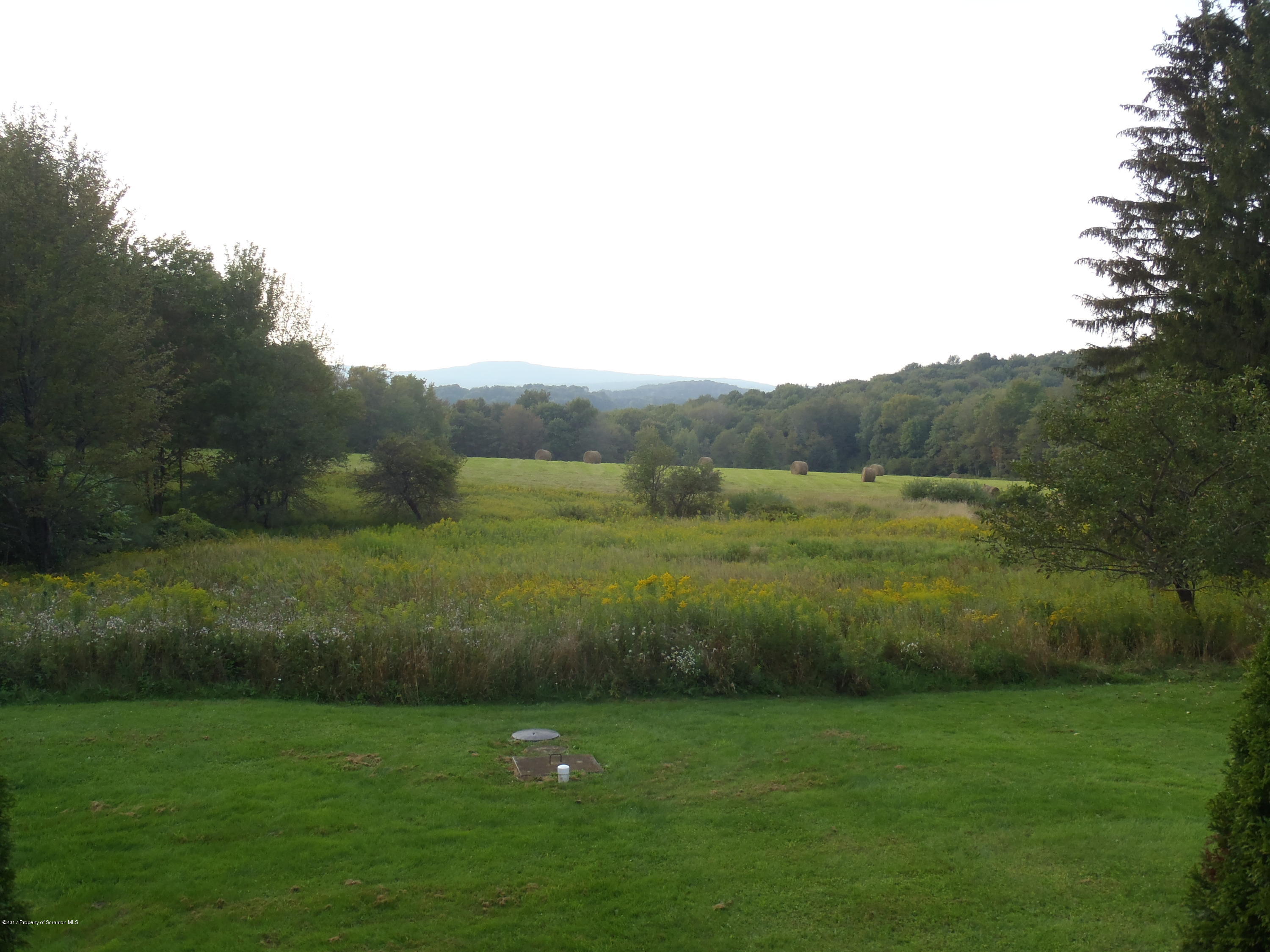 5441 Cottrell Road Union Dale, PA 18470 - Photo 5 of 19 a view of a field with grass and trees