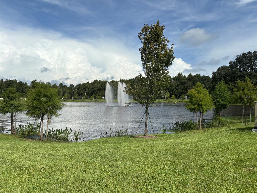 11451 Harborview Street Orlando, FL 32832 - Photo 27 of 27