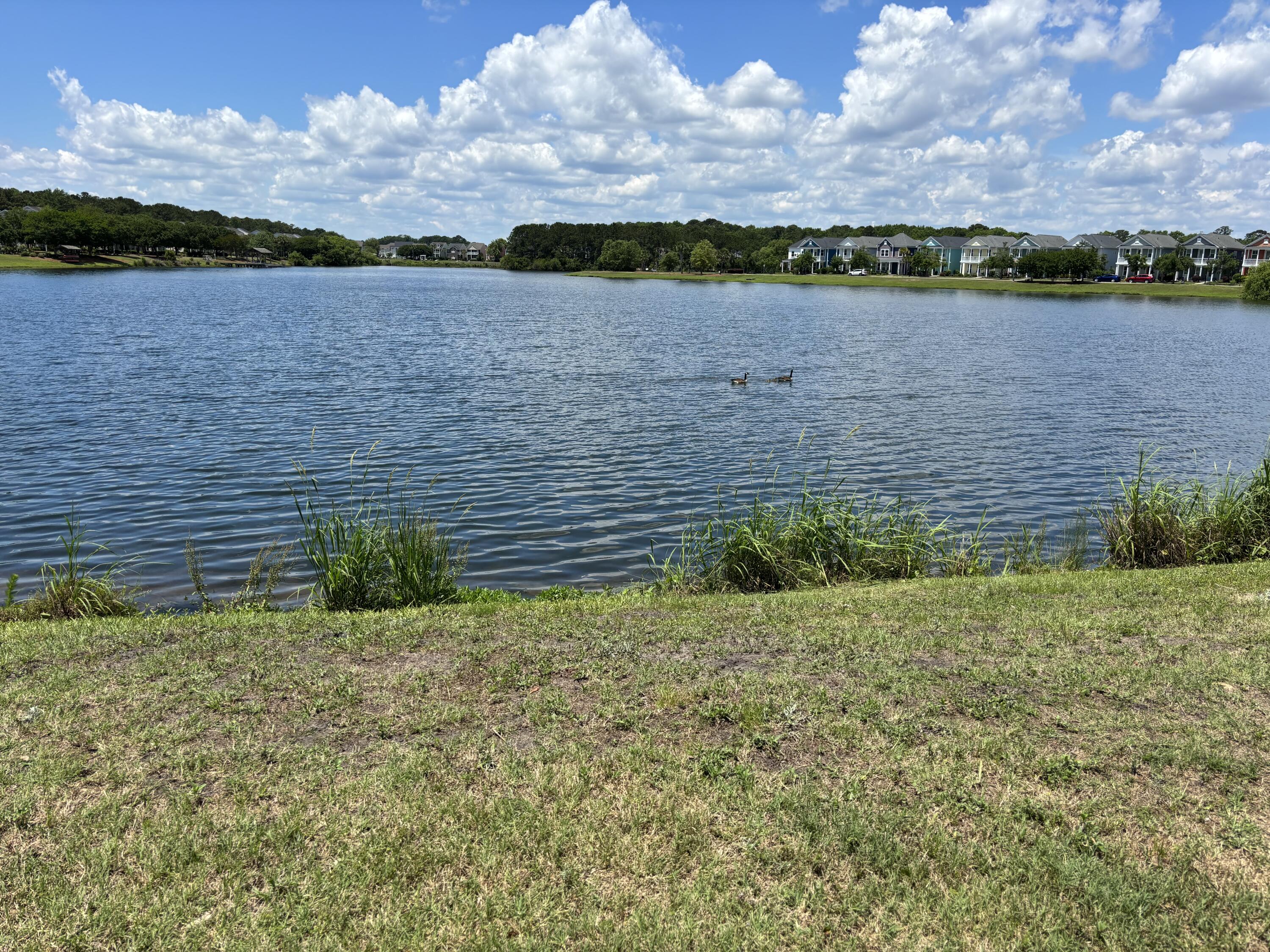 2947 Sweetleaf Lane Johns Island, SC 29455 - Photo 59 of 62 IMG_9187