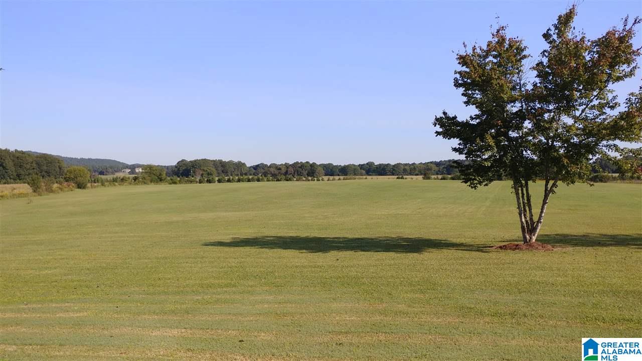 3345 East Marble Valley Road Sylacauga, AL 35151 - Photo 5 of 34