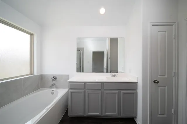 a bathroom with a tub a double vanity sink and a large mirror
