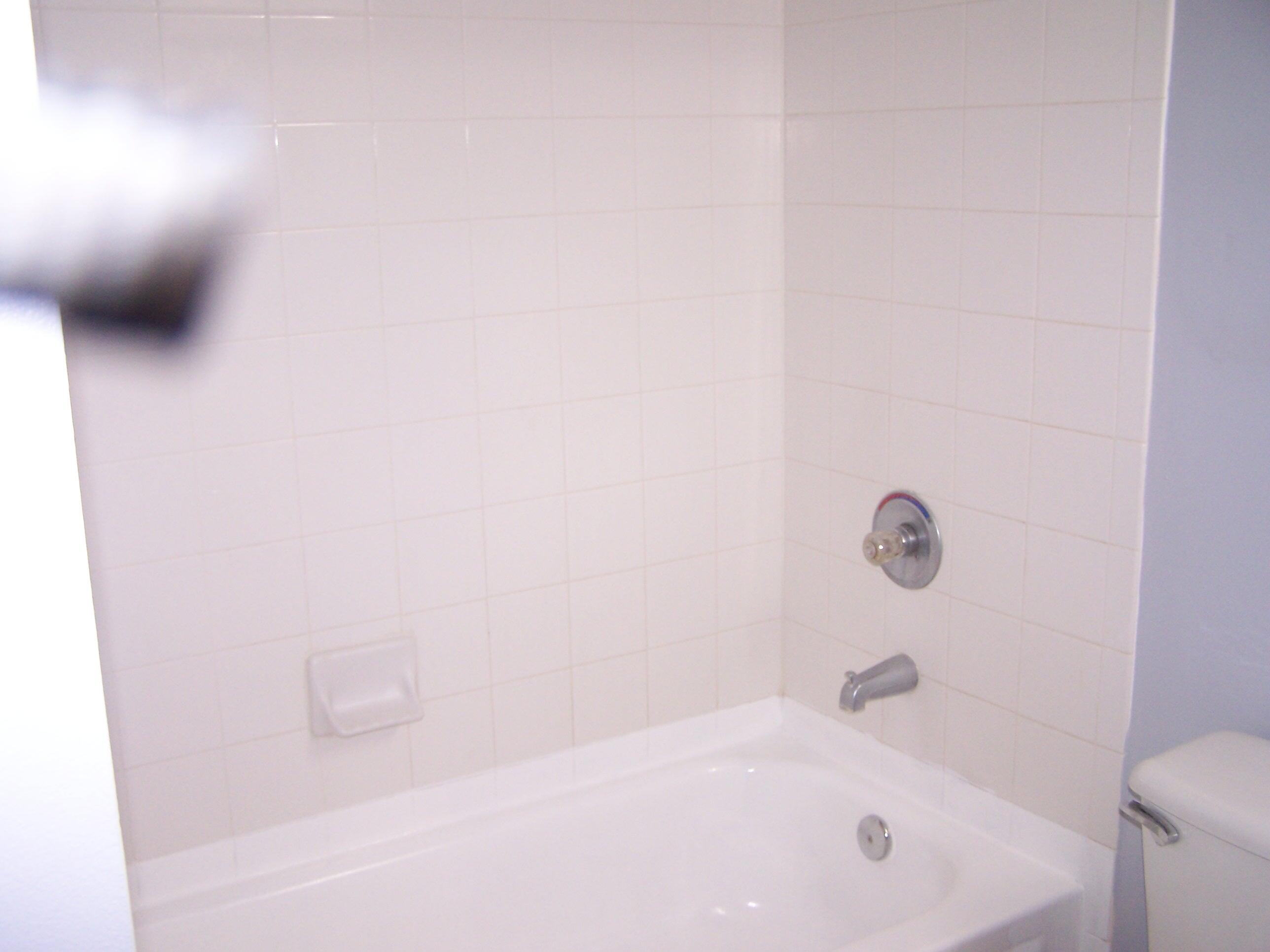 10366 Fox Trail Road South, Unit 1705 Royal Palm Beach, FL 33411 - Photo 13 of 15 100_3409