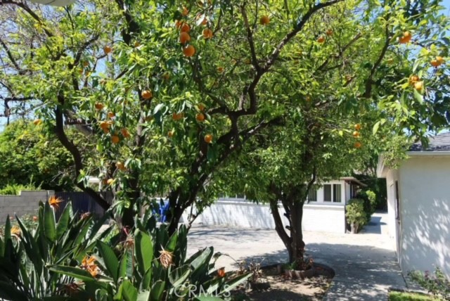 471 Woodward Boulevard Pasadena, CA 91107 - Photo 17 of 30 a picture of plants