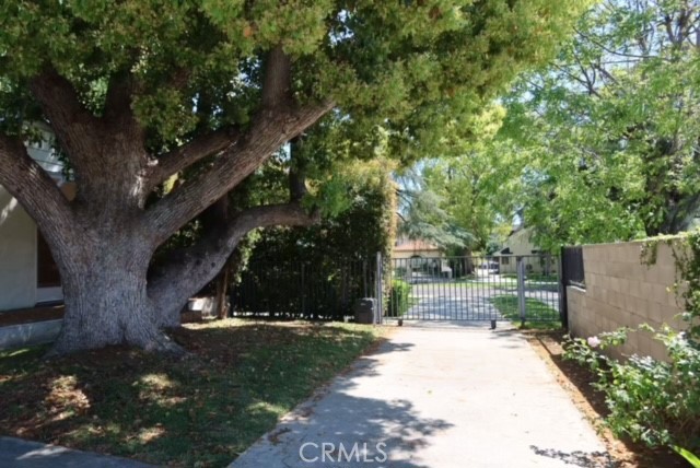 471 Woodward Boulevard Pasadena, CA 91107 - Photo 19 of 30 a view of a yard with plants and a large tree