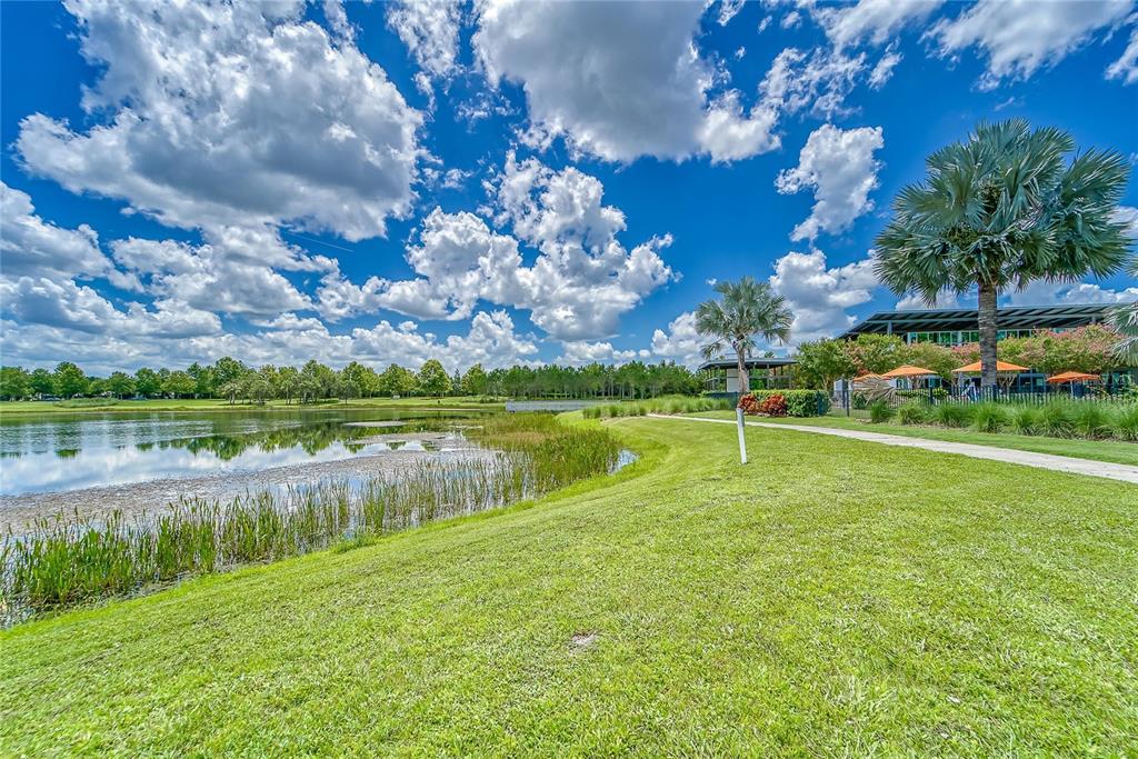 5534 Silver Sun Drive Apollo Beach, FL 33572 - Photo 66 of 76 a view of a lake with houses in the background