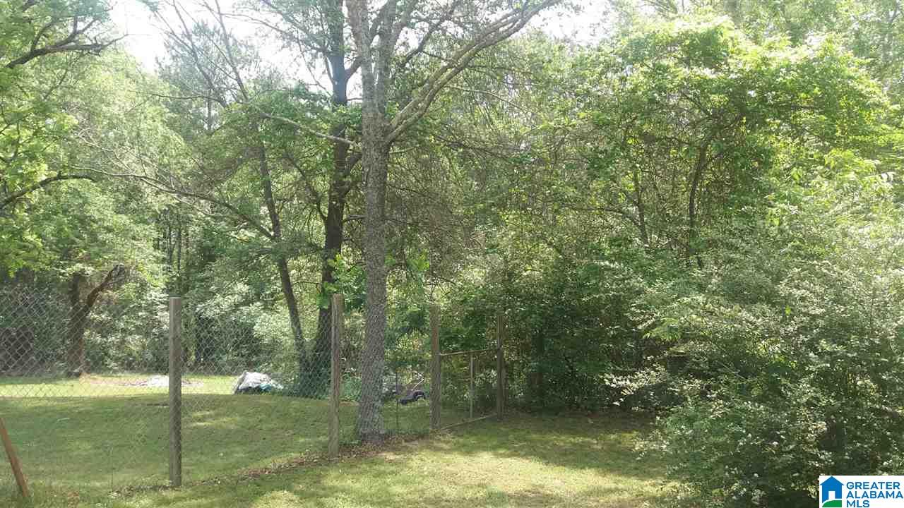 9695 Bankston Road Dora, AL 35062 - Photo 17 of 24
