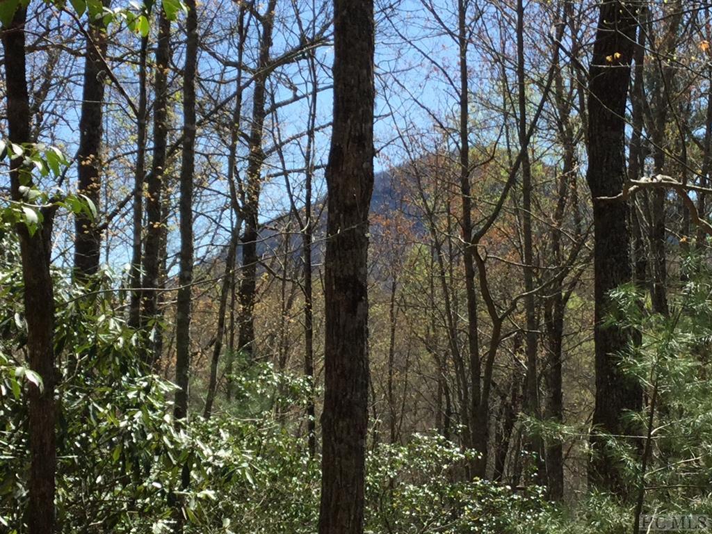 64 W Road Cashiers, NC 28717 - Photo 7 of 17 Gallery Image 7