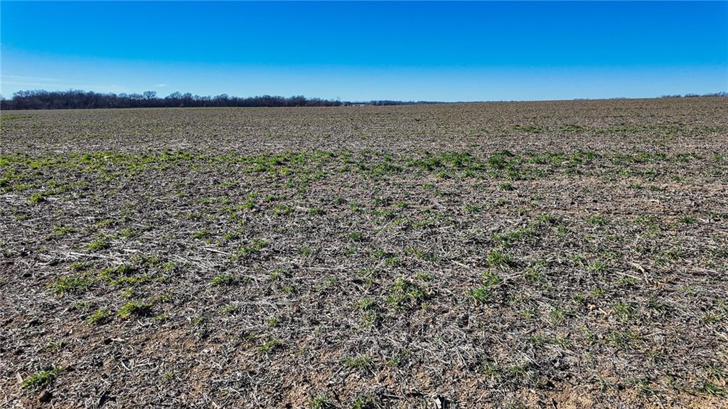 0 Southeast 30th & 40th Road Lamar, MO 64759 - Photo 4 of 28