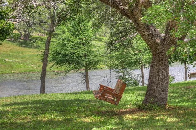 a view of a yard with a tree and a bench