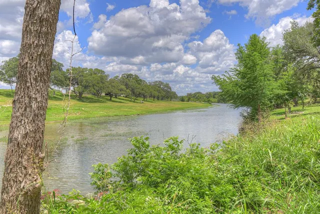 a view of a lake from a yard