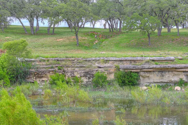 a view of a park that has large trees