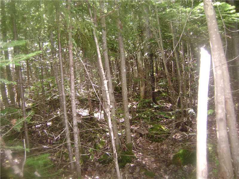 44 Attean Road Jackman, ME 04945 - Photo 7 of 7 Land.