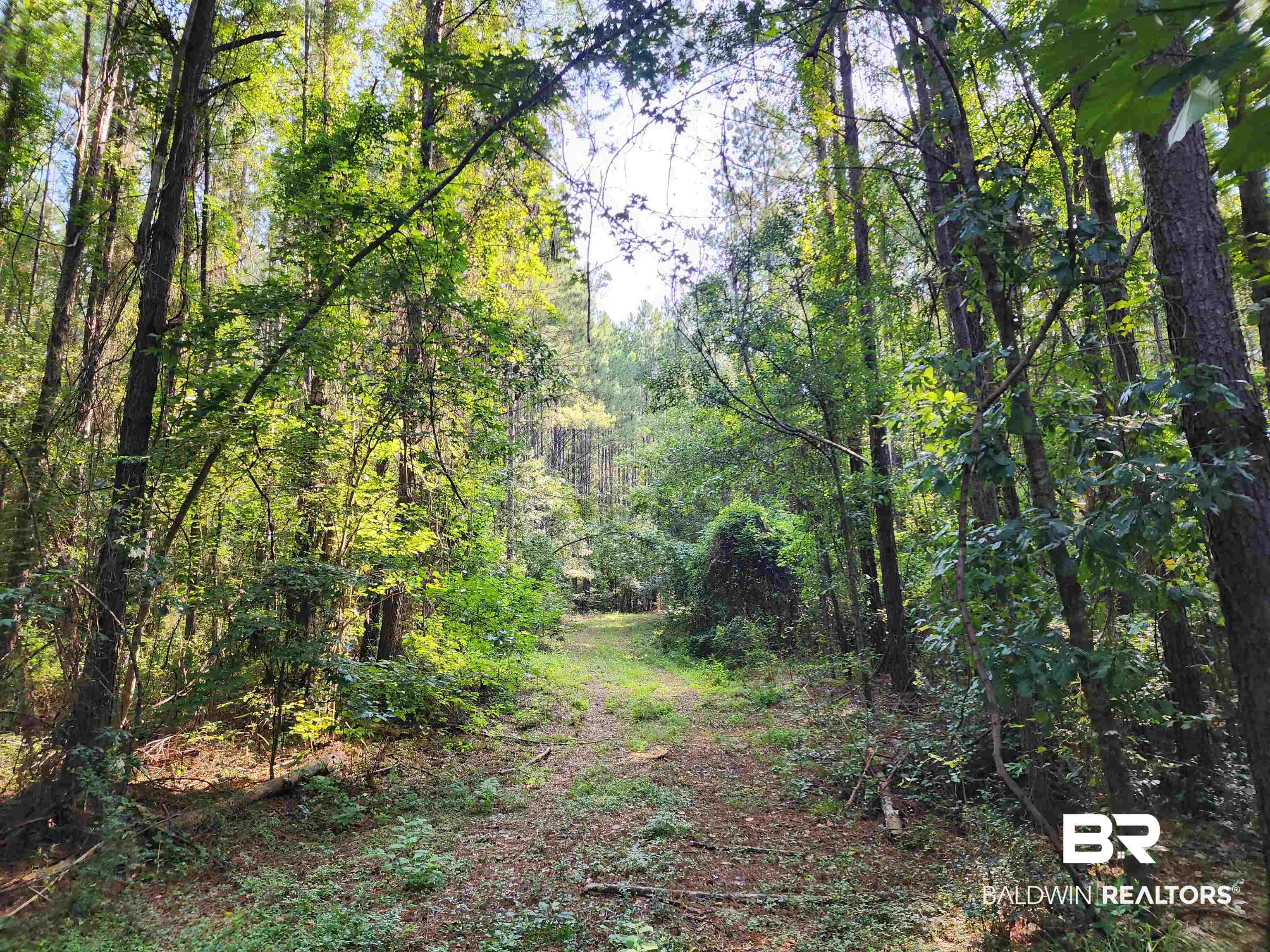 0 Lowery Road Atmore, AL 36502 - Photo 9 of 28