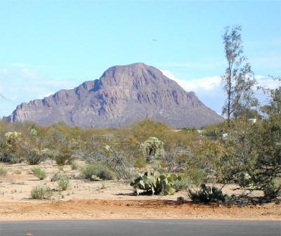 7550 West Cholla Ranch Lane, Unit 10 Tucson, AZ 85735 - Photo 2 of 2