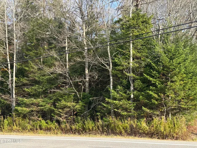 $12,900 | 2461 Highway 10, Caroga Lake, NY 12032