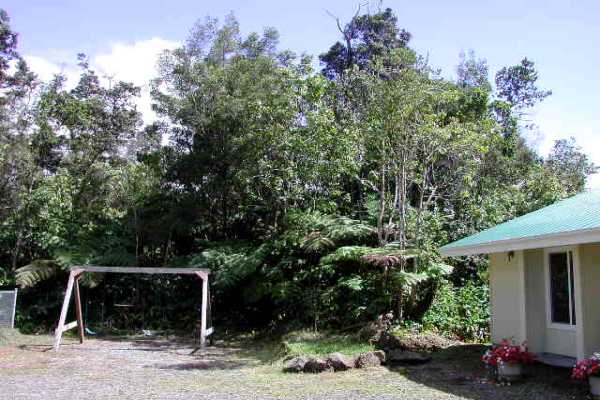 19-4128 Wright Road, Unit 1 Volcano, HI 96785 - Photo 35 of 36 a front view of a house with garden
