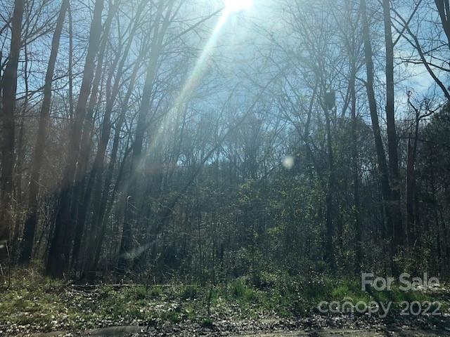 0 Murray Street, Unit 61 Chester, SC 29706 - Photo 2 of 4 a view of a yard