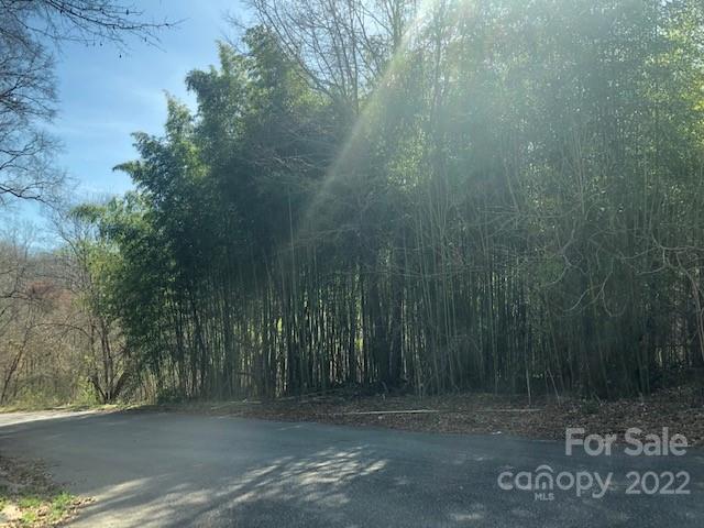 0 Murray Street, Unit 61 Chester, SC 29706 - Photo 4 of 4 a view of a yard