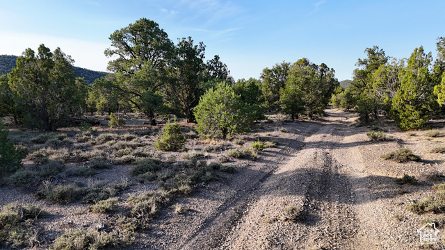 123 Tbd Prout Wash Road North Cedar City, UT 84721 - Photo 28 of 82