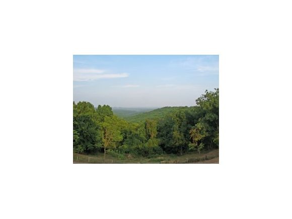 Lot 179 Black Forest Branson Forest Reeds Spring, MO 65737 - Photo 1 of 1 Primary Photo