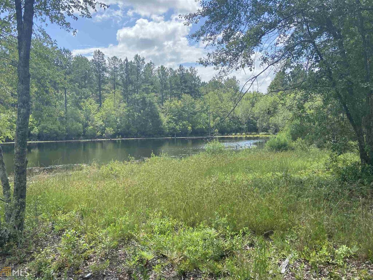 0 Johnson Gay Road Millen, GA 30442 - Photo 1 of 1 Gallery Image 1