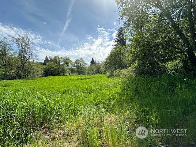 -xxxx Delameter Road Castle Rock, WA 98611 - Photo 11 of 11