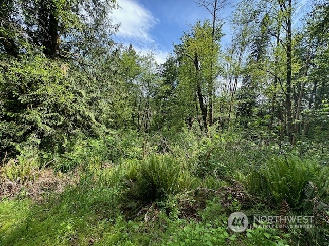 -xxxx Delameter Road Castle Rock, WA 98611 - Photo 8 of 11