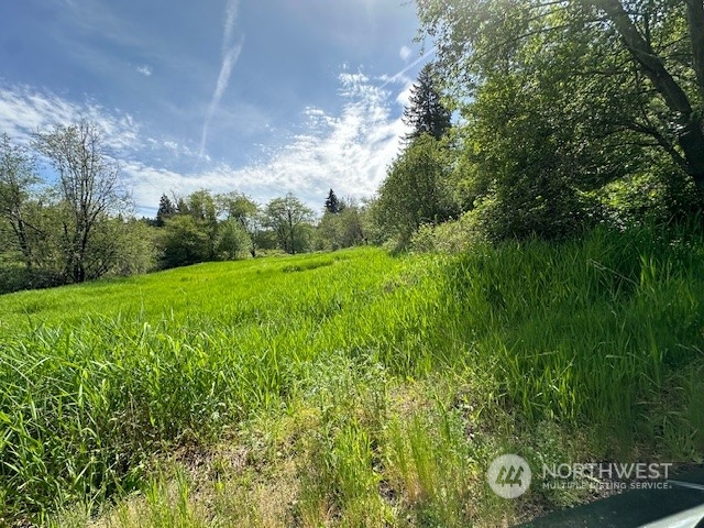 -xxxx Delameter Road Castle Rock, WA 98611 - Photo 10 of 11