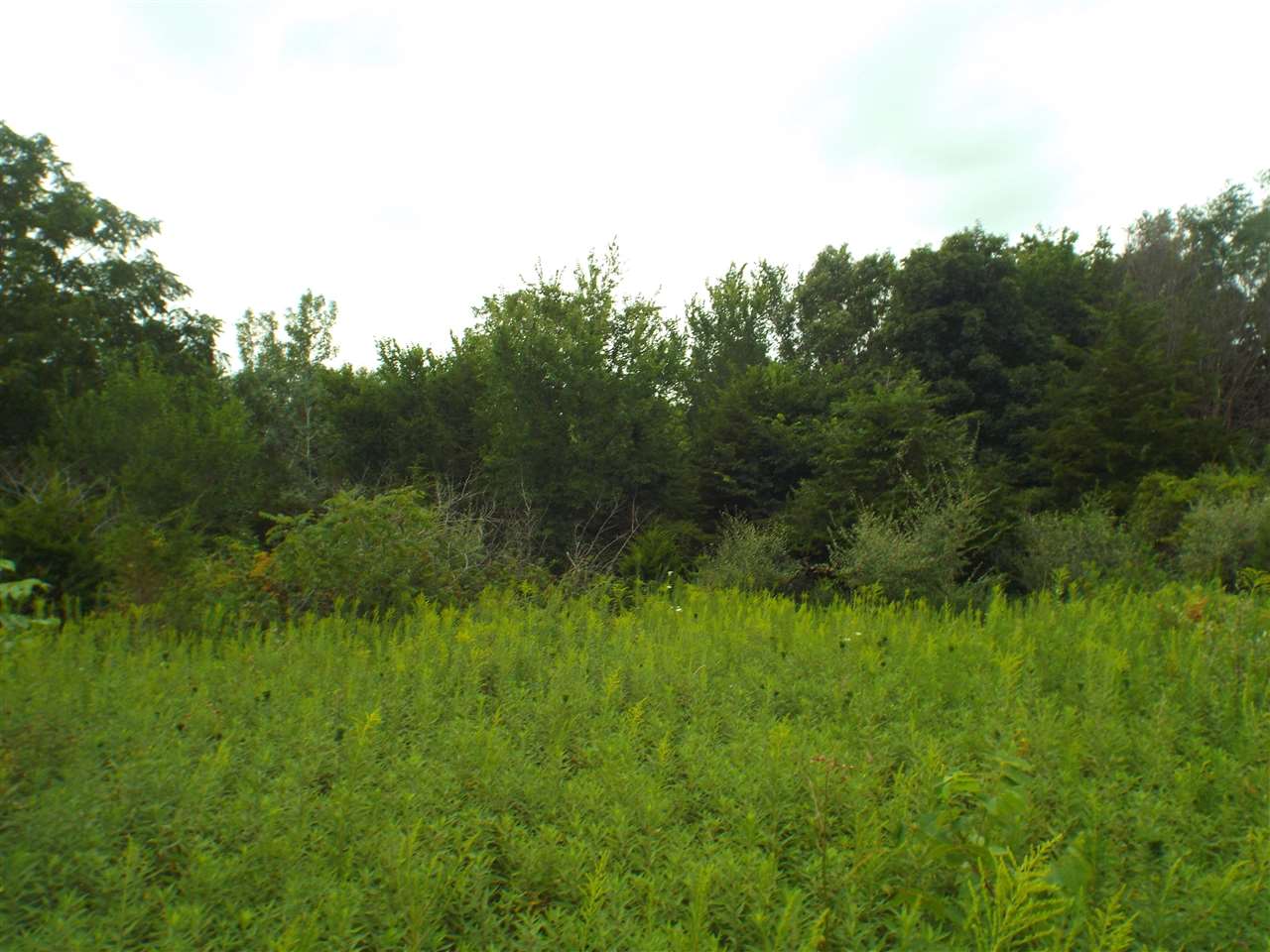 10800 East Willow Road Stockton, IL 61085 - Photo 42 of 51 Gallery Image 42