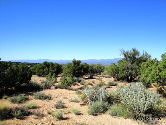 0 East Howard Road Kingman, AZ 86401 - Photo 13 of 33
