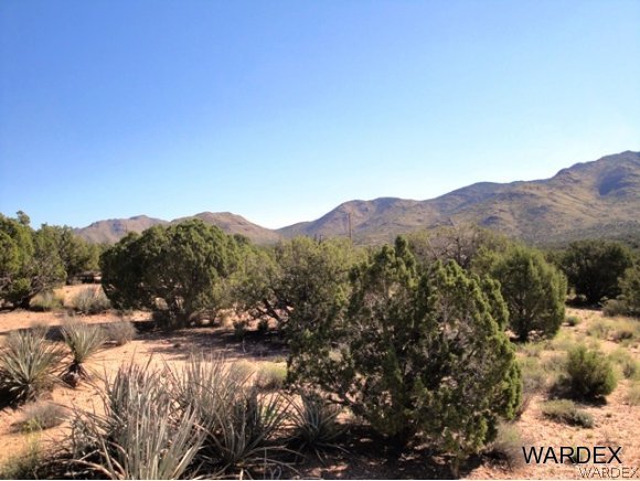 0 East Howard Road Kingman, AZ 86401 - Photo 18 of 33