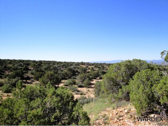 0 East Howard Road Kingman, AZ 86401 - Photo 8 of 33