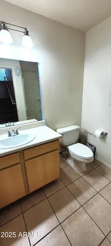 a bathroom with a sink a toilet and mirror