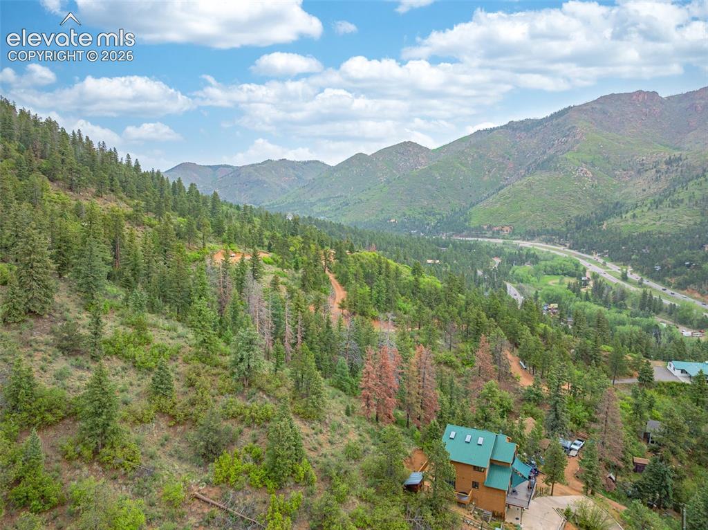 4390 Prairie Street Cascade, CO 80809 - Photo 24 of 26