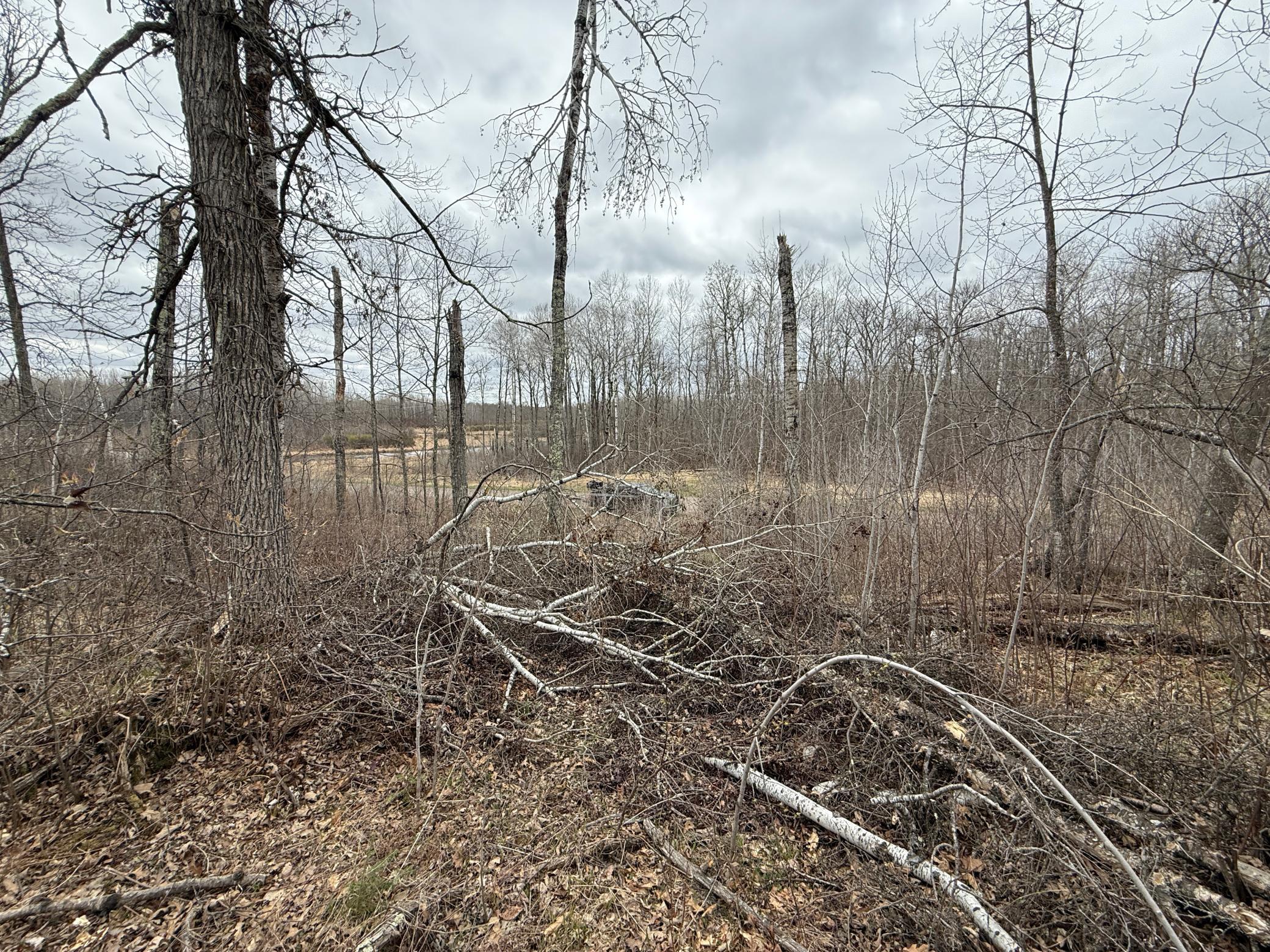 3854 Rasmussen Road Wright, MN 55798 - Photo 44 of 98