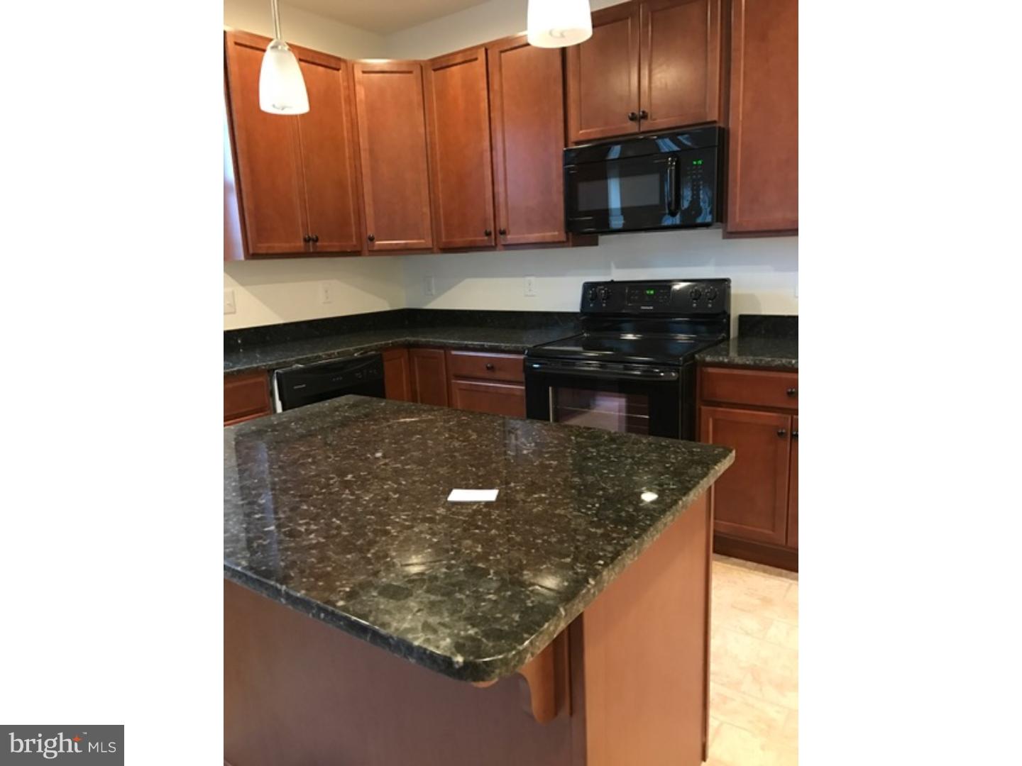 509 Colbert Road Townsend, DE 19734 - Photo 4 of 18 Kitchen