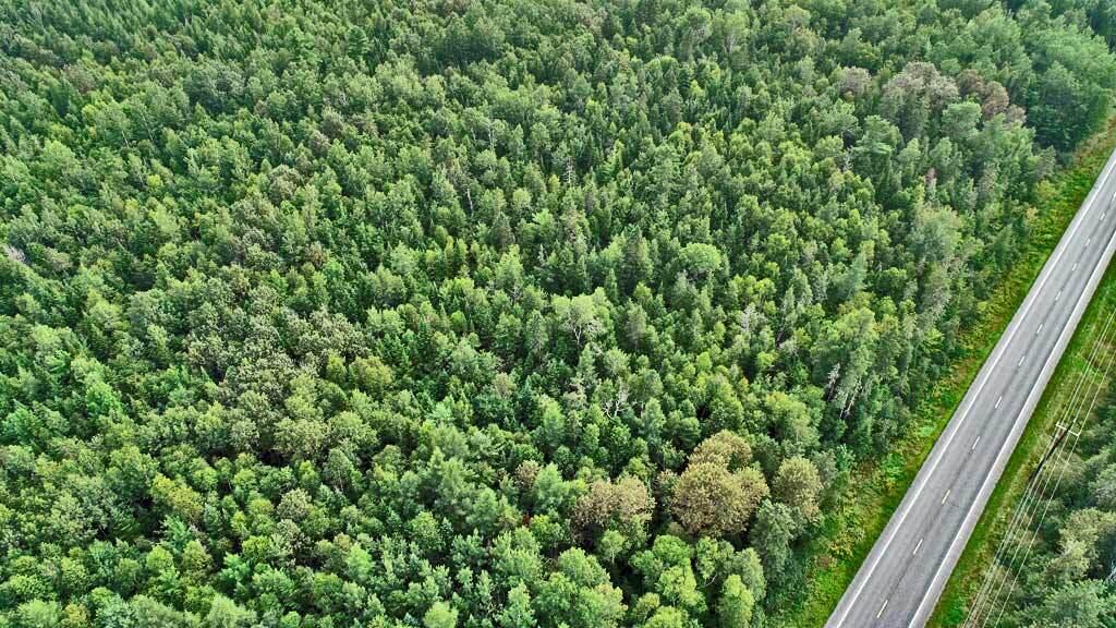 Lot 16 Rt 163 Presque Isle Road Ashland, ME 04732 - Photo 18 of 18 rt-227-land-me-ashland-aeri