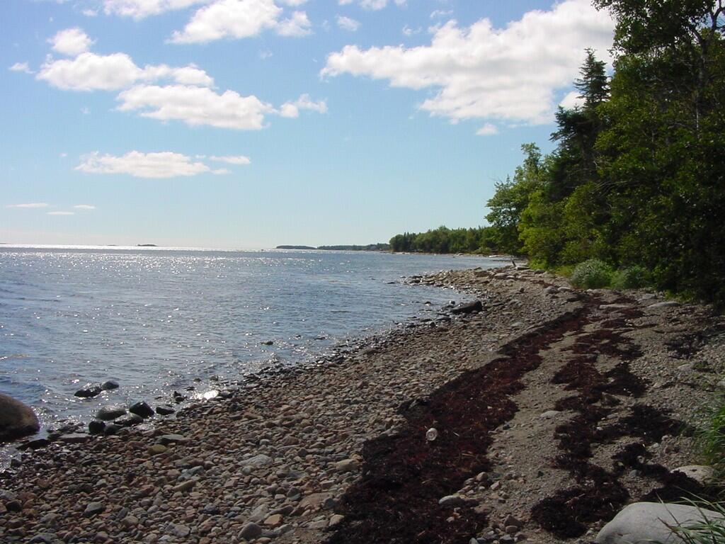 515 Paul Bunyan Road Corea, ME 04624 - Photo 44 of 52