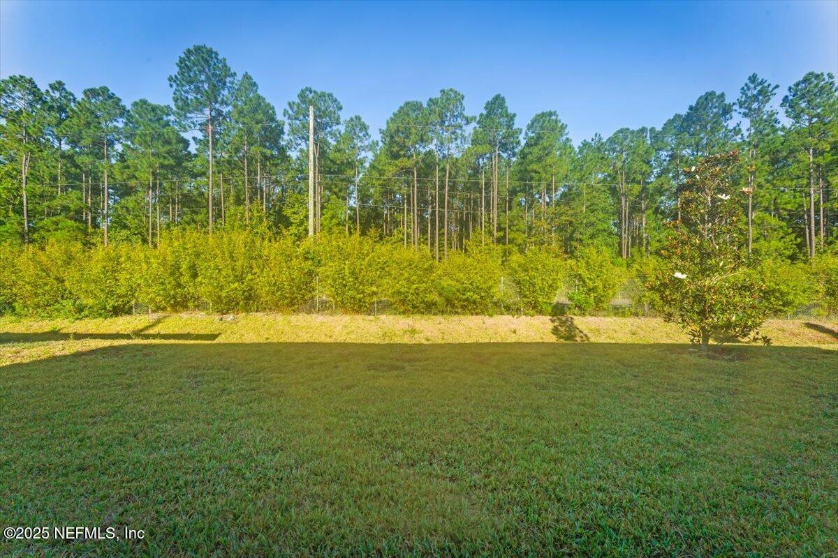 1598 Lachlan Circle Jacksonville, FL 32218 - Photo 37 of 38 a view of an ocean swimming pool