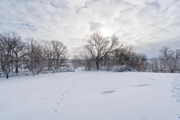 $335,000 | 57821 300th Street, Winthrop, MN 55396