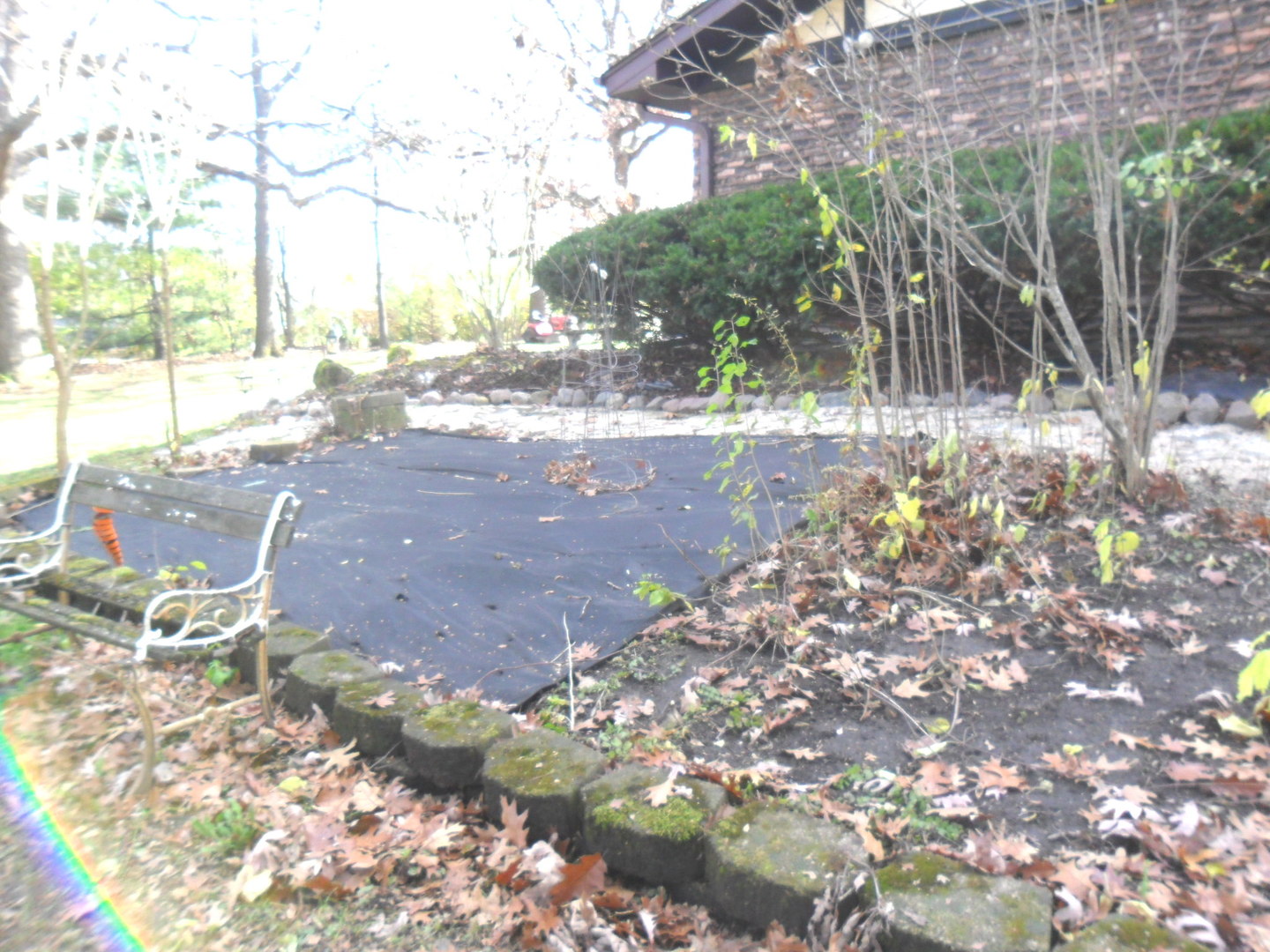 11340 Bell Road Lemont, IL 60439 - Photo 47 of 50 a view of yard with trees