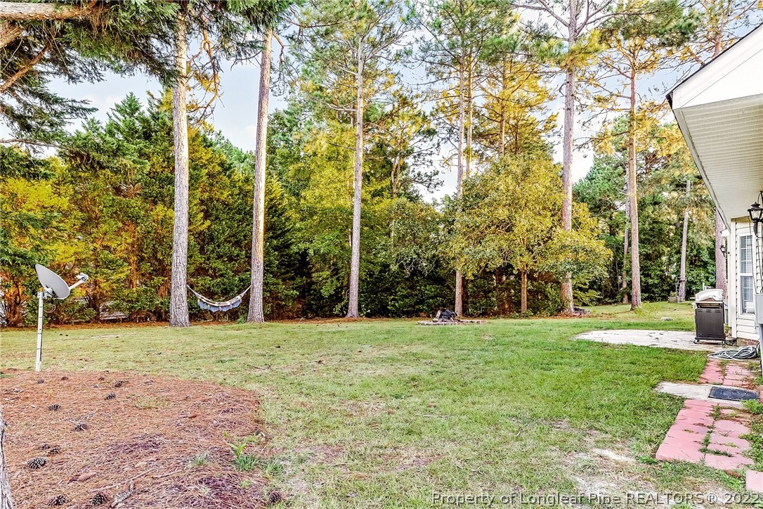 370 Sawyer Road Cameron, NC 28326 - Photo 24 of 26 a view of a park with large trees