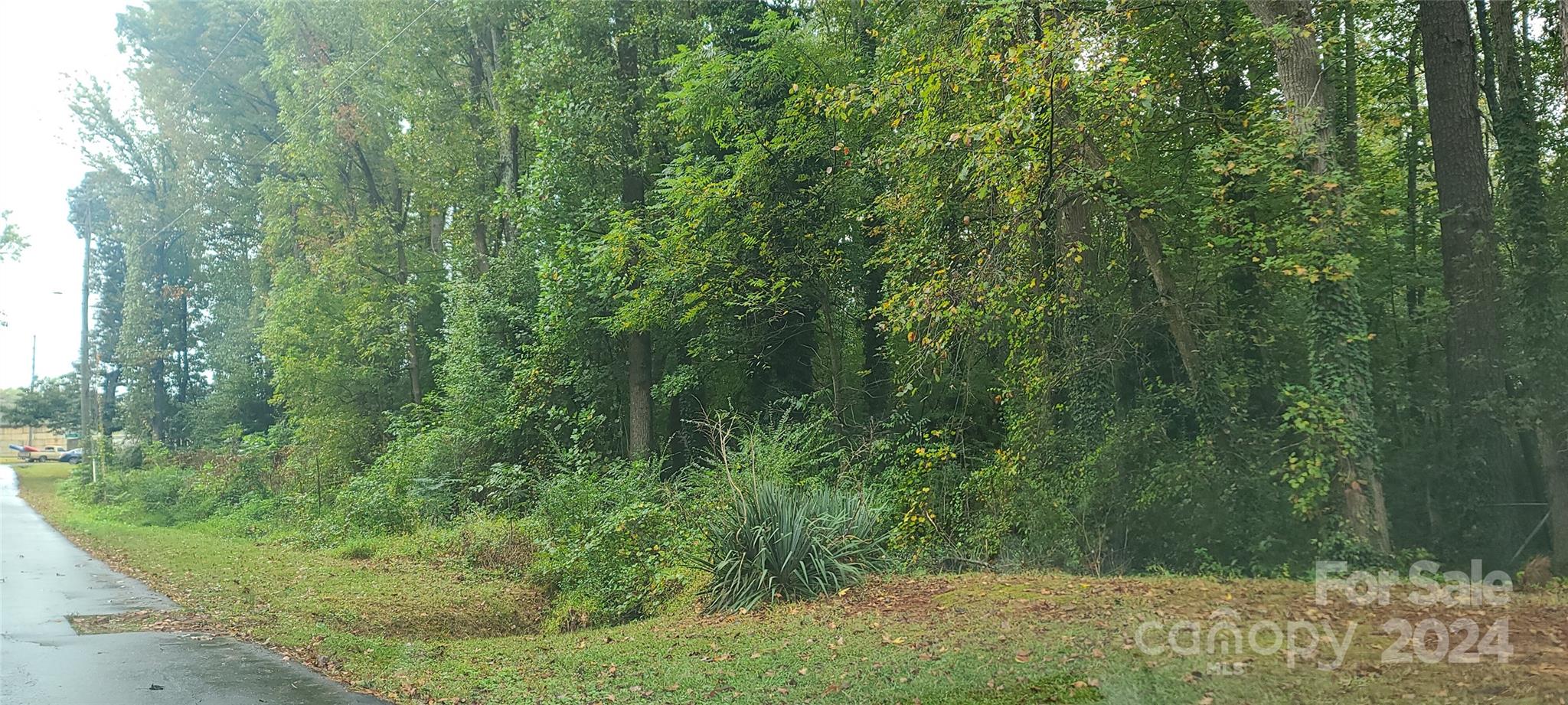 Tbd Tremont Street Troy, NC 27371 - Photo 2 of 2 a view of a lush green forest