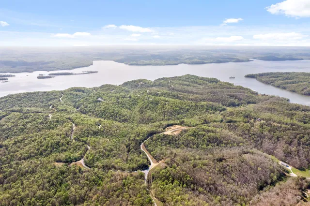 an aerial view of houses covered by trees