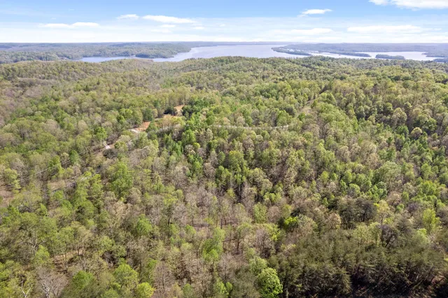a view of a city with lush green forest