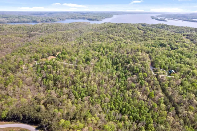 a view of a yard with an outdoor space