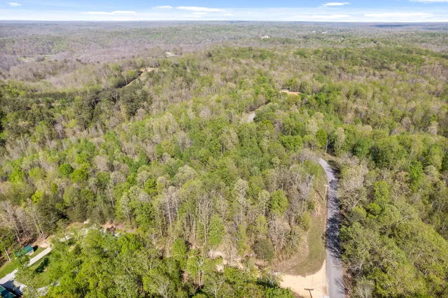 a view of a yard with an outdoor space