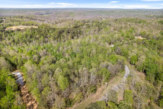 a view of a city with lush green forest