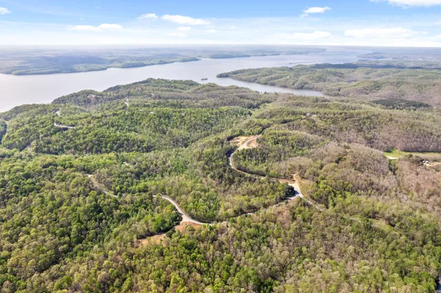 an aerial view of mountain with trees